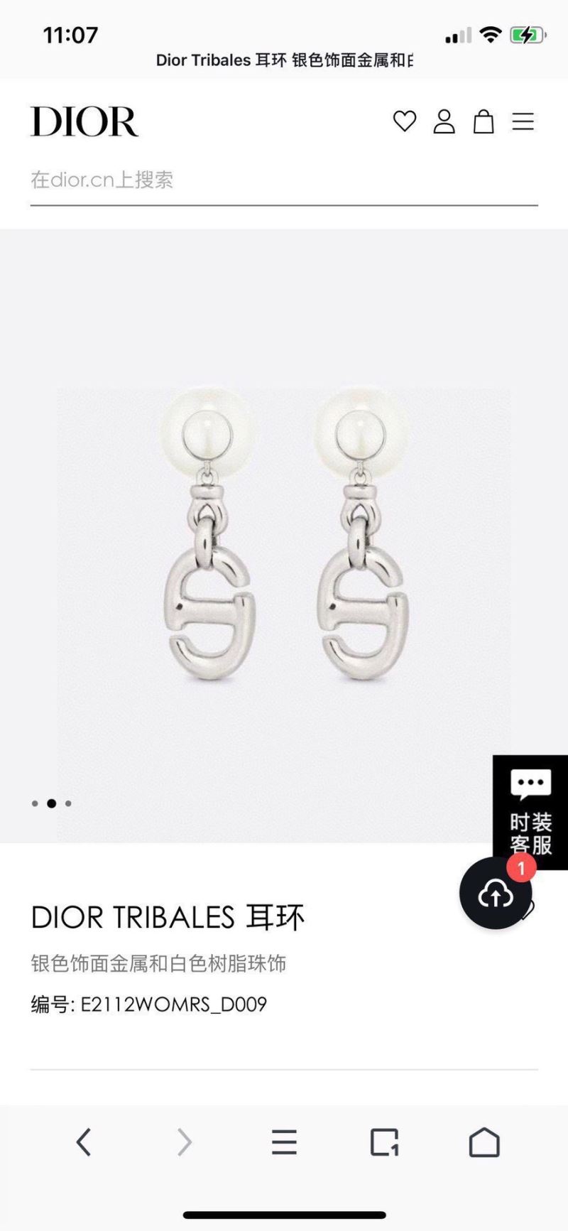 Christian Dior Earrings